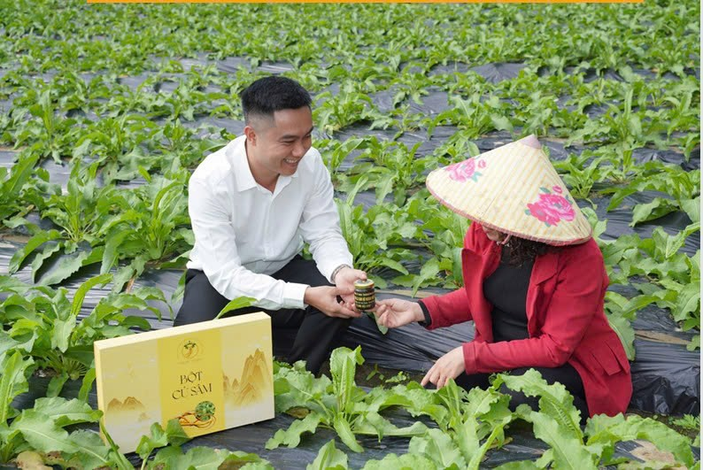 Hướng phát triển bền vững của hệ sinh thái Sâm Nữ Hoàng