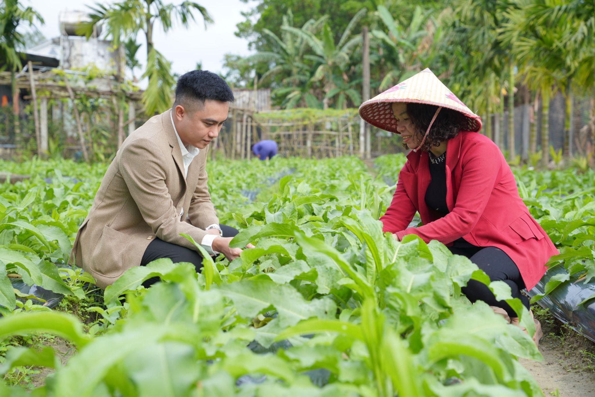 Phát triển bền vững hệ sinh thái Sâm Nữ Hoàng