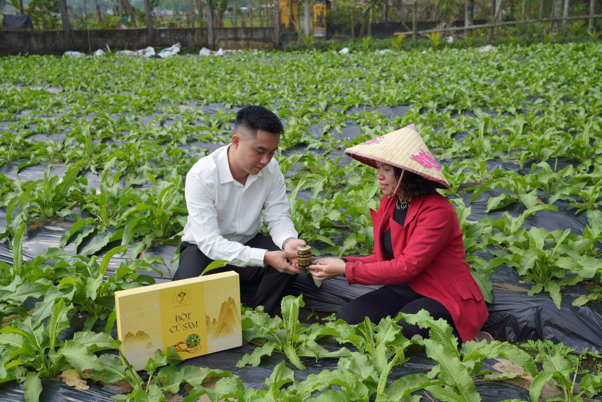 Hệ sinh thái Sâm Nữ Hoàng hướng phát triển bền vững